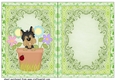 Green birthday pooch insert