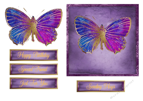Regal Butterfly Birthday