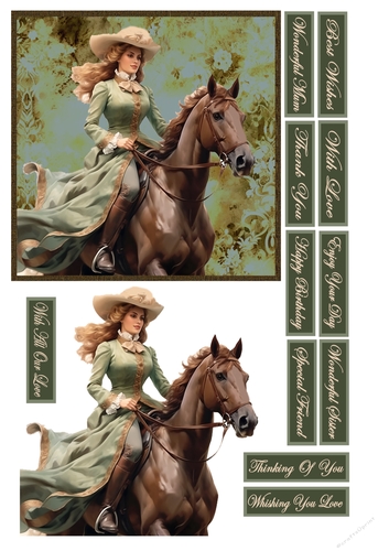 Elegant Rider