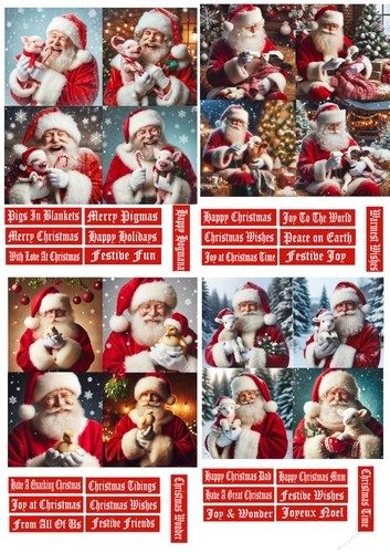 Santas Farmyard Christmas