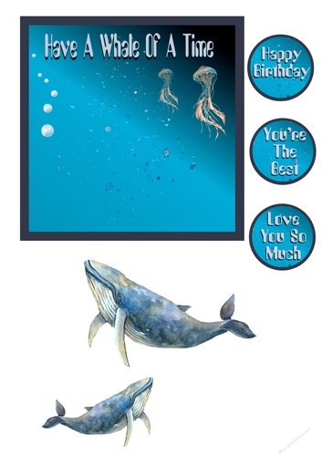 Have A Whale Of A Time