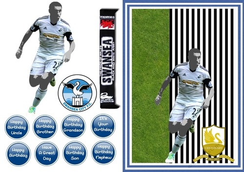 Football - Swansea City