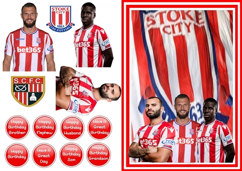 Football - Stoke City