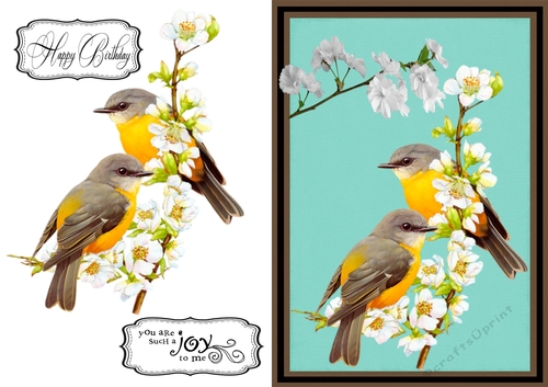 Birds and Blossom Birthday
