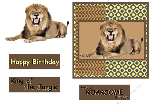 King of the Jungle