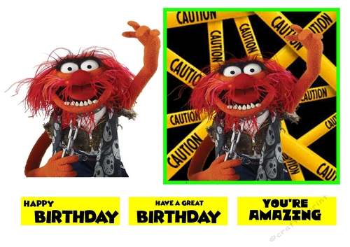 Animal Birthday