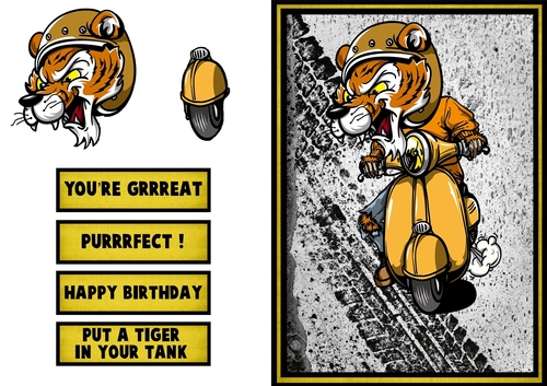 Tiger Bike Birthday