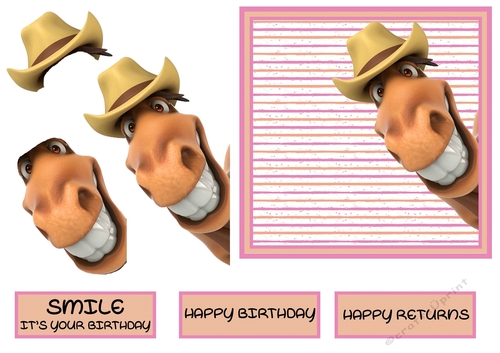 Horse Big Smile Birthday