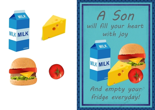 Teenage Birthday - The Fridge