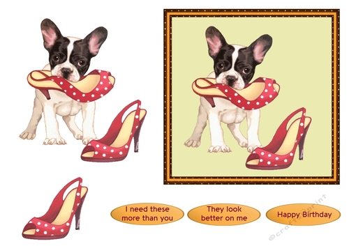 The Dogs New Shoes