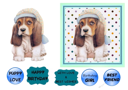Basset Birthday