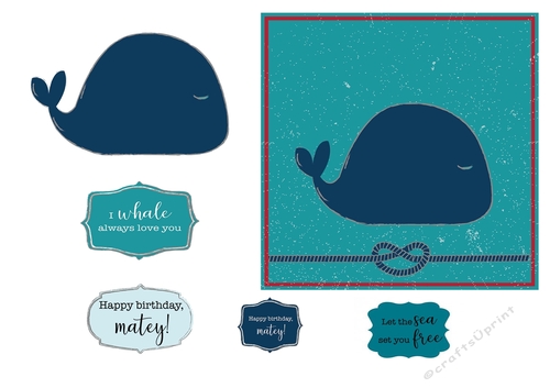 Whale birthday