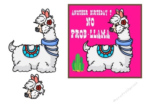 No Prob-Llama Birthday