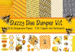 Buzzy Bee Bumper Kit