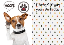 I heard it was your Birthday