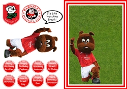Football - Barnsley