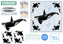 Orca Birthday