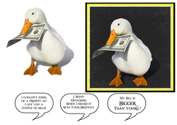 Totally Quackers!