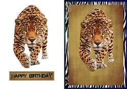Jaguar Birthday