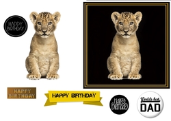 Lion Cub Birthday