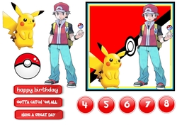 Pokemon Gotta Catch em All