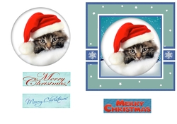 Cute Kitty Christmas