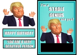 Im A Stable Genius!