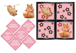 Hamster Birthday