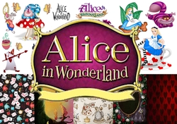 Alice Bumper Kit