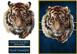 Tiger Tiger