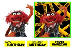 Animal Birthday