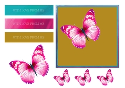 Raspberry Butterfly