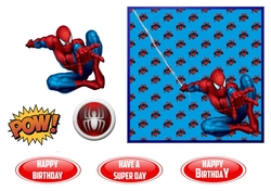 Spiderman Birthday
