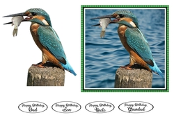 Kingfisher Birthday