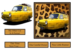 Robin Reliant - Nice Little Runner