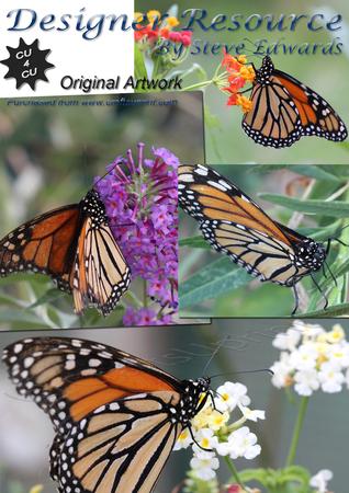 4 x Orange and White Monarch Butterflies