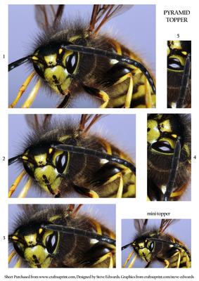 Wasp Pyramid