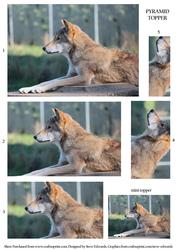 Wolf Lying Down Pyramid