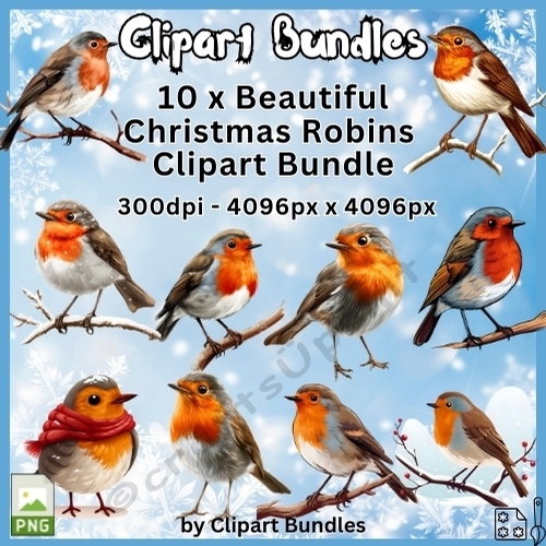 10 x Christmas Robins Clipart Bundle