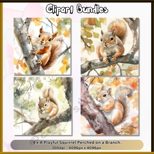 4 x Playful Squirrel Perched on a Tree Branch (4096px x 4096px, 300dpi, .png files)