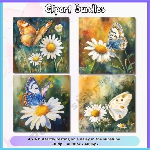 4 x Butterfly Resting on a Daisy in the Sunshine – Watercolor Illustration (4096px x 4096px, 300dpi, .png)