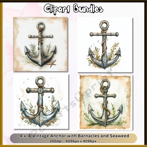 4 x Vintage Anchor with Barnacles and Seaweed - 4096px x 4096px, 300dpi, PNG