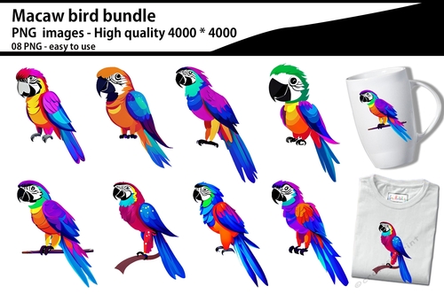 Macaw bird clipart bundle