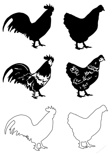 chicken and rooster vector silhouette clipart