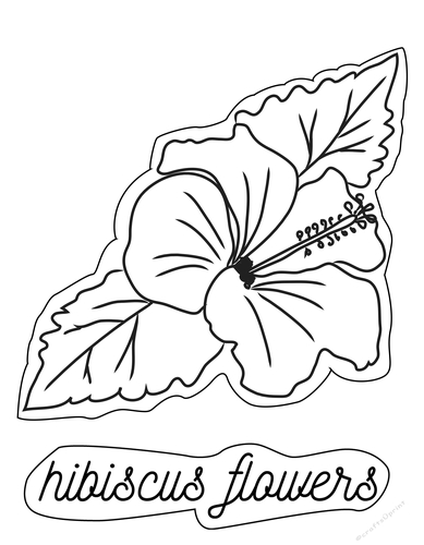 hibiscus flower digital stamps, hibiscus coloring page