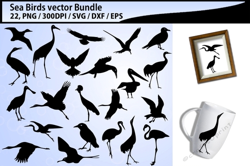 Sea birds svg silhouette bundle 