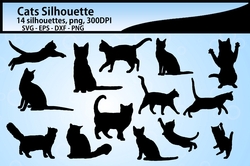 Cats