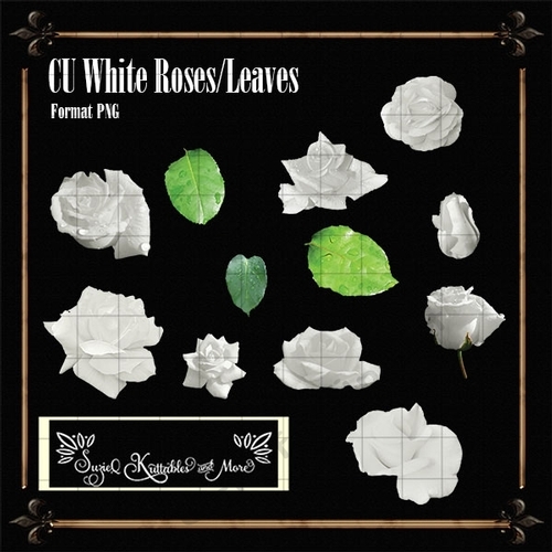 White Roses1 - PNG Format