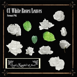 White Roses1 - PNG Format