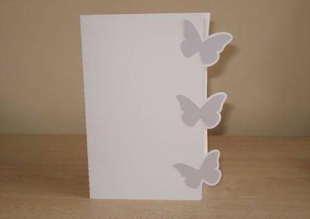 Butterfly Edge